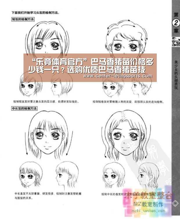 乐竟体育