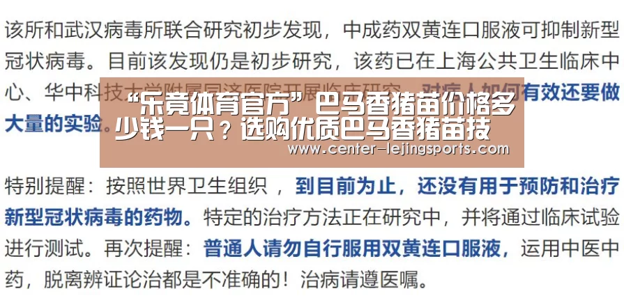 乐竟入口