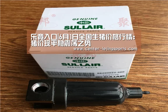 乐竟体育官网
