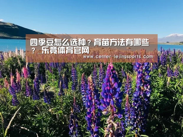 四季豆怎么选种?育苗方法有哪些?_乐竟体育官网(图2) 乐竟体育