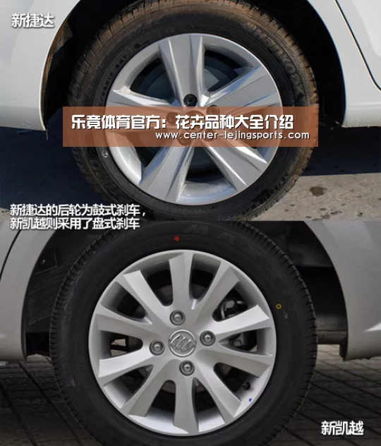 乐竟体育官方:花卉品种大全介绍(图3) 乐竟体育
